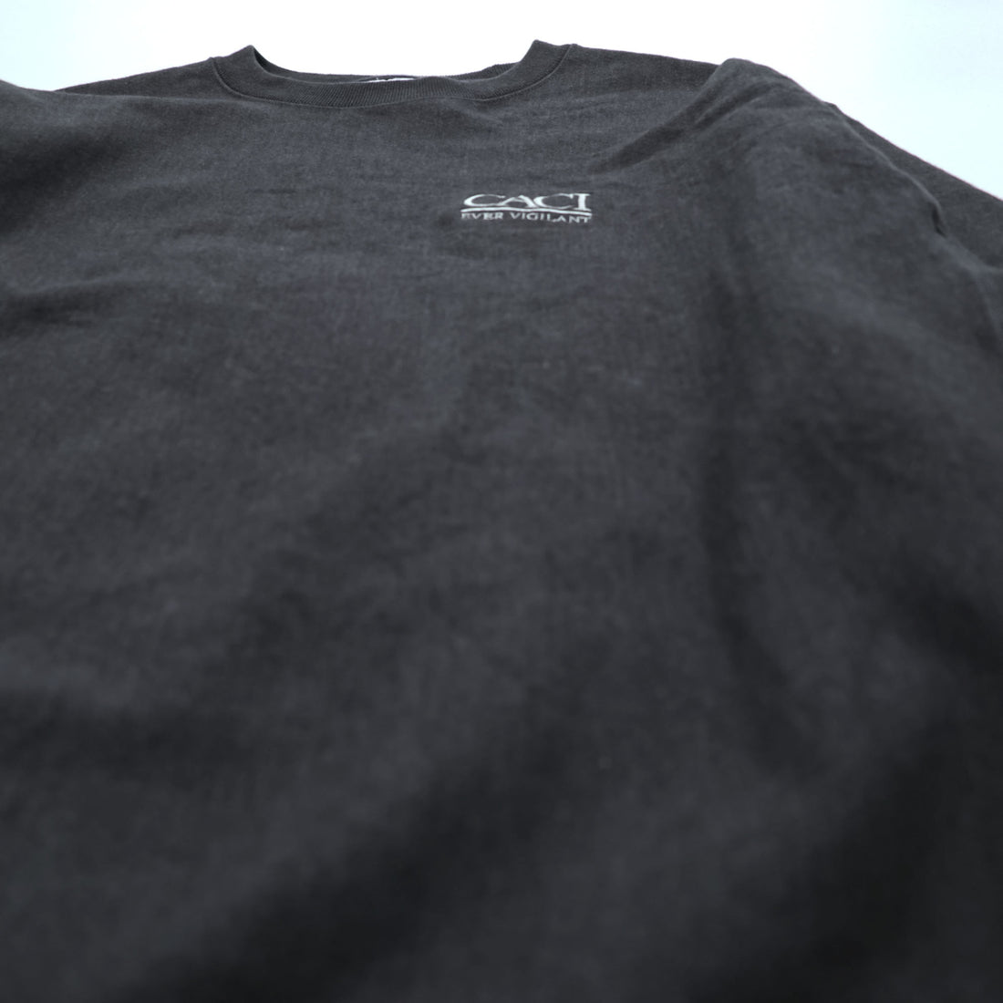Champion Reverse Weave Sweatshirt, Size XL, Gray, Brushed Lining, Embroidered, One-Point Design