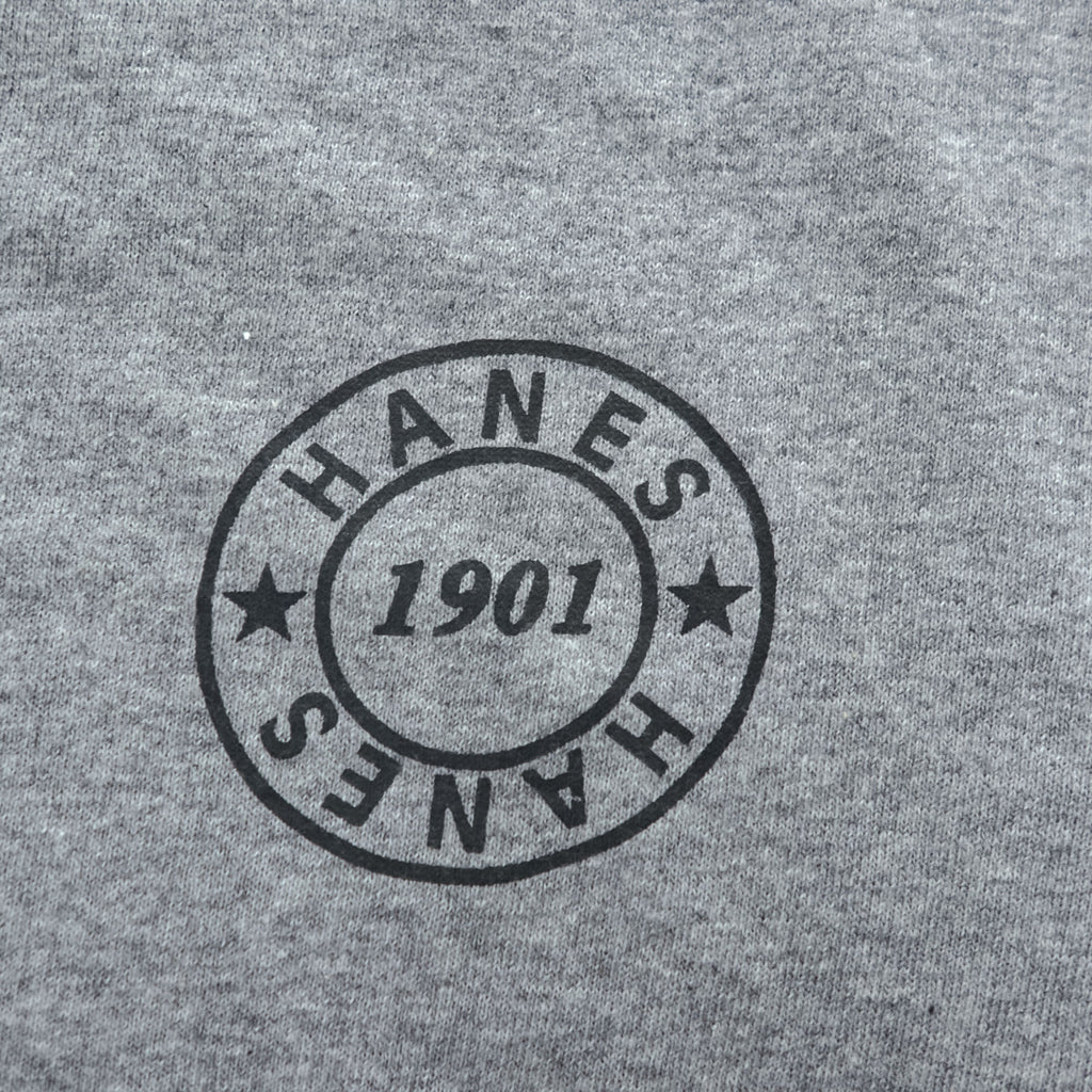 Hanes Ringer T-Shirt, Size XL, Gray, One-Point Logo, All-American Comfort