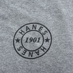 Hanes Ringer T-Shirt, Size XL, Gray, One-Point Logo, All-American Comfort