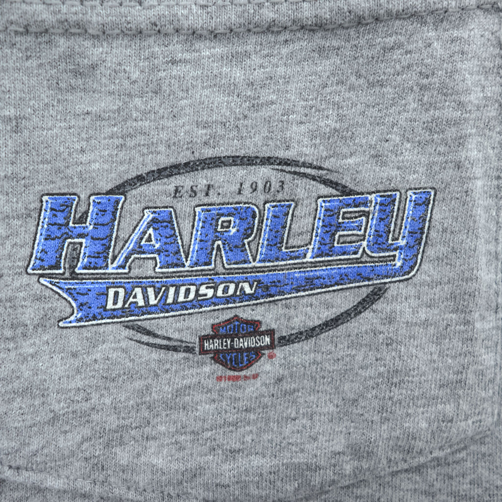 HARLEY DAVIDSON 90年代 USA製 ヴィンテージ 胸ポケット Tシャツ XL グレー バックプリント BALTIMORE MD バイク Holoubek