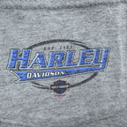 HARLEY DAVIDSON 90年代 USA製 ヴィンテージ 胸ポケット Tシャツ XL グレー バックプリント BALTIMORE MD バイク Holoubek