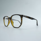 Ray-Ban Italy Sunglasses Fashion Glasses Brown HAVANA Square RB4306 710/73 54_19 150 3N