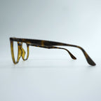 Ray-Ban Italy Sunglasses Fashion Glasses Brown HAVANA Square RB4306 710/73 54_19 150 3N