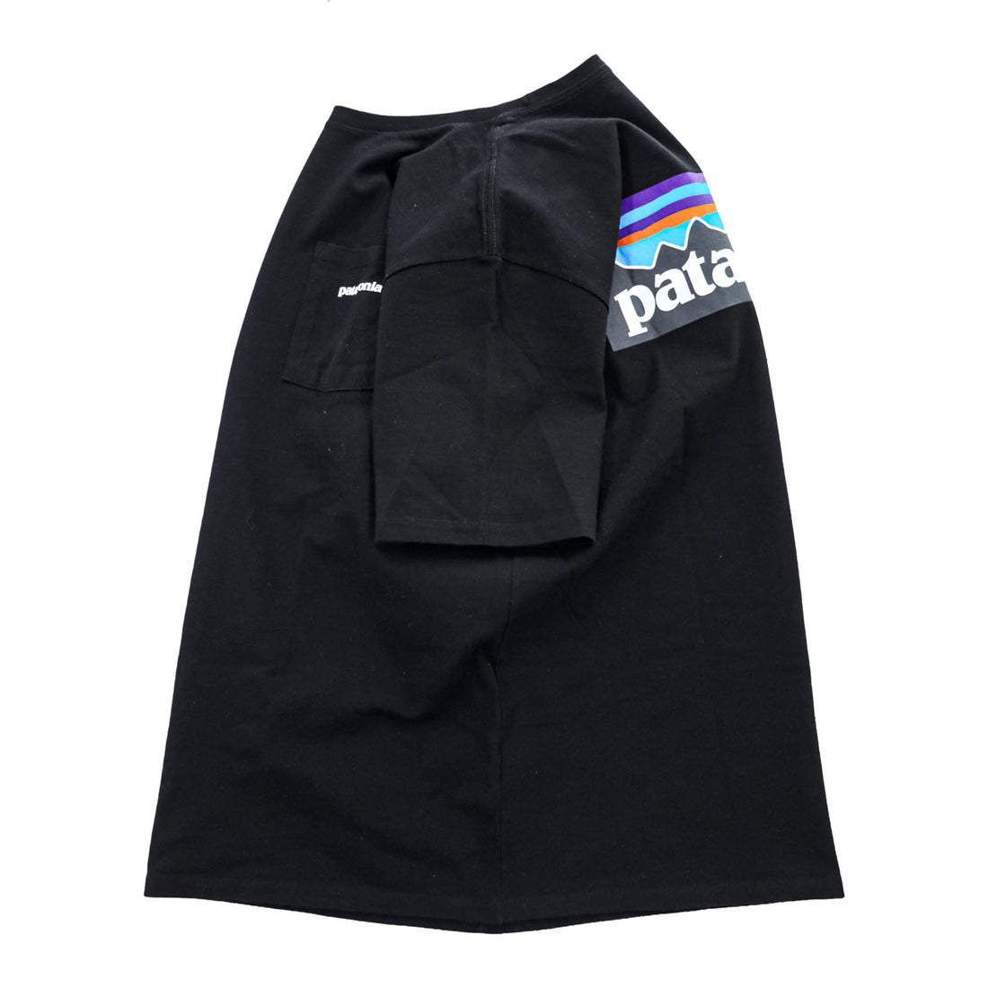 Patagonia P-6ロゴ ポケット Tシャツ S ブラック バックプリント レスポンシビリティー 38512