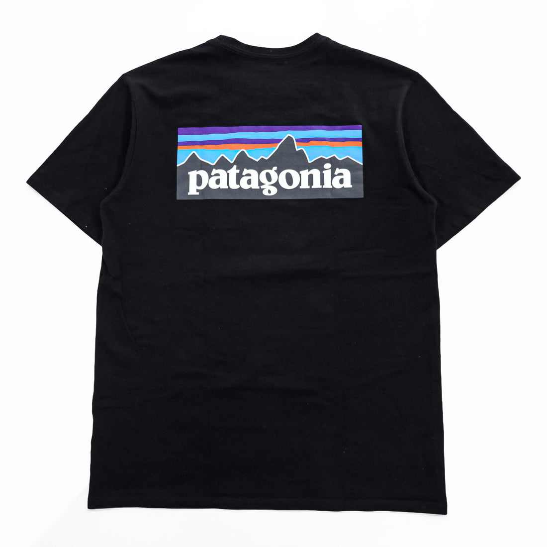 Patagonia P-6ロゴ ポケット Tシャツ S ブラック バックプリント レスポンシビリティー 38512