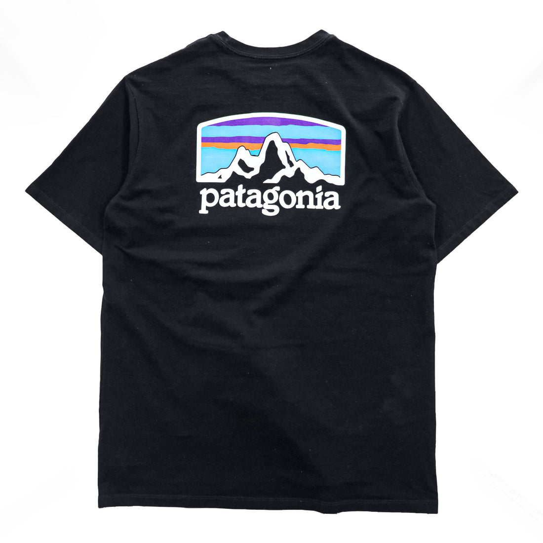 Patagonia Tシャツ S ブラック バックプリント Fitz Roy Horizons Tee レスポンシビリティー 38501