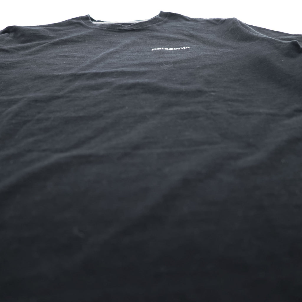 Patagonia Tシャツ S ブラック バックプリント Fitz Roy Horizons Tee レスポンシビリティー 38501