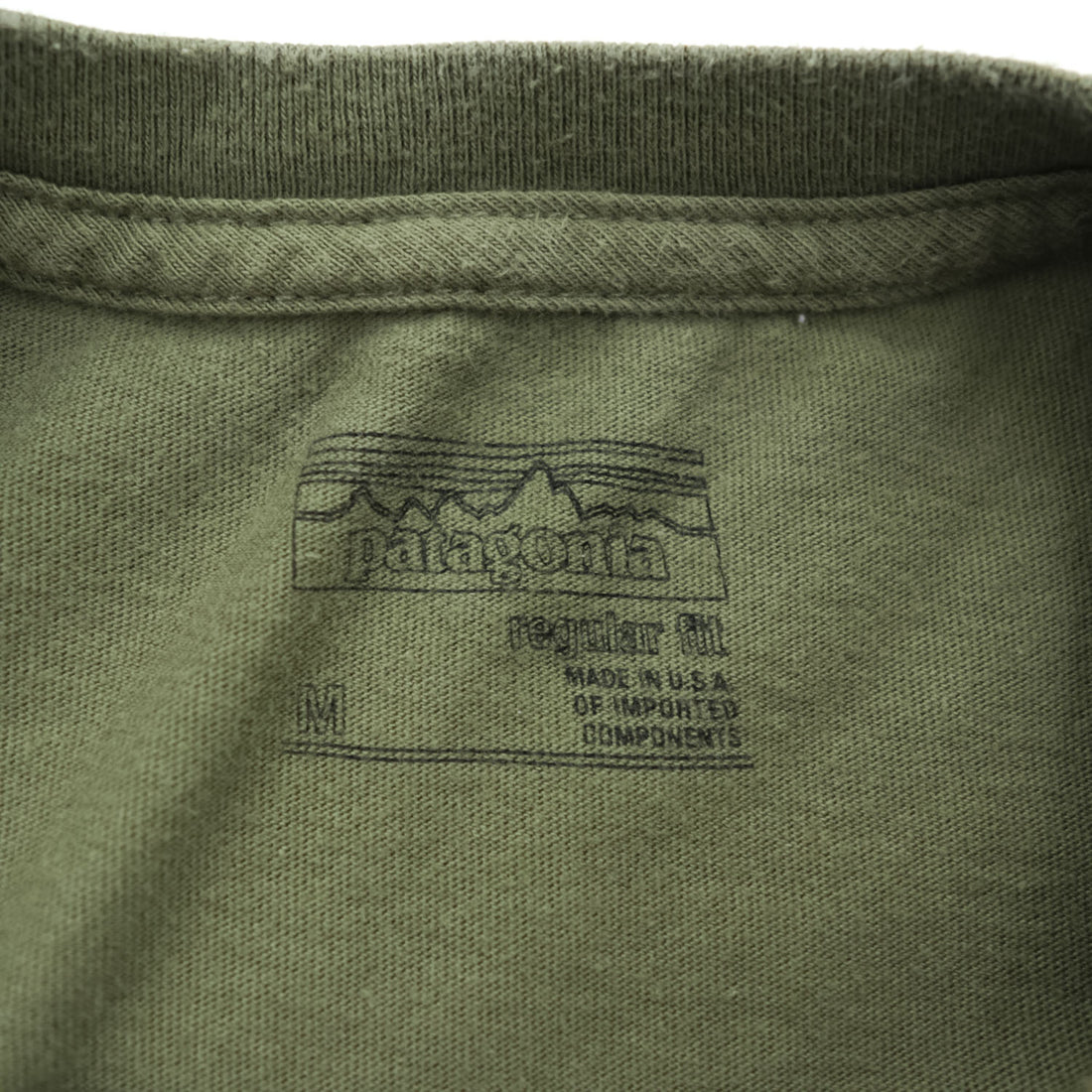 Patagonia USA製 オーガニックコットン Tシャツ M バックプリント フィッツロイ トラウト 38821