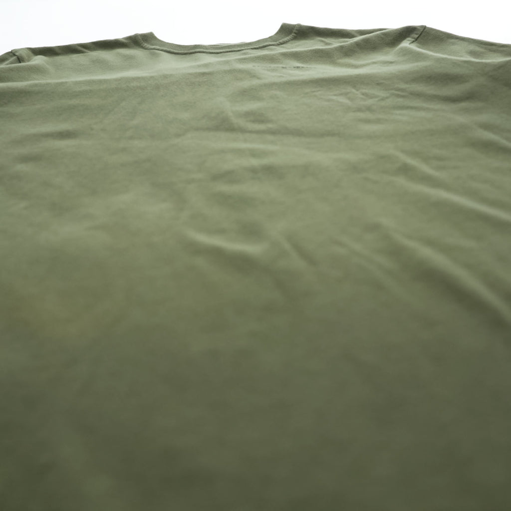 Patagonia USA製 オーガニックコットン Tシャツ M バックプリント フィッツロイ トラウト 38821