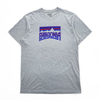 Patagonia Tシャツ L グレー プリント Fitz Roy Frostbite COTTON / POLY RESPONSIBILI TEE REGULAR FIT 39115