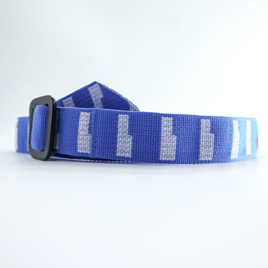 Vintage Patagonia Friction Web Belt Blue Nylon Old Model One Size
