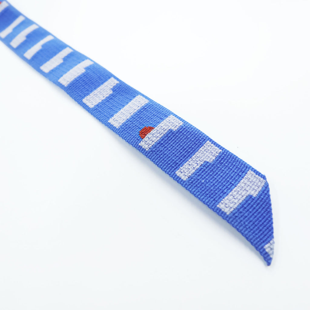 Vintage Patagonia Friction Web Belt Blue Nylon Old Model One Size