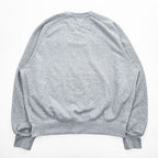 DAIWA PIER39 テックスウェットクルー フリーダムスリーブ トレーナー TECH SWEAT CREW FREEDOM SLEEVE グレー BE-50024
