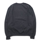 Champion College Print Sweatshirt, Medium, Grey, Fleece Lining, LAKE STATE Anchor Arch Logo, Made in Honduras