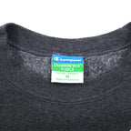 Champion College Print Sweatshirt, Medium, Grey, Fleece Lining, LAKE STATE Anchor Arch Logo, Made in Honduras