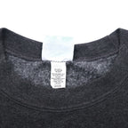 Champion College Print Sweatshirt, Medium, Grey, Fleece Lining, LAKE STATE Anchor Arch Logo, Made in Honduras