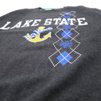 Champion College Print Sweatshirt, Medium, Grey, Fleece Lining, LAKE STATE Anchor Arch Logo, Made in Honduras