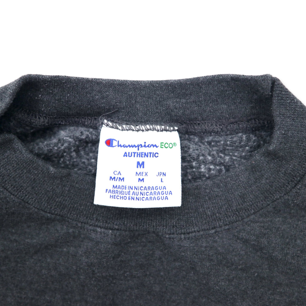 Champion ECO College Embroidery Sweatshirt L Grey Cotton ENDICOTT Arch Logo