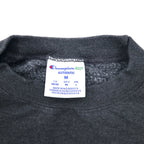 Champion ECO College Embroidery Sweatshirt L Grey Cotton ENDICOTT Arch Logo