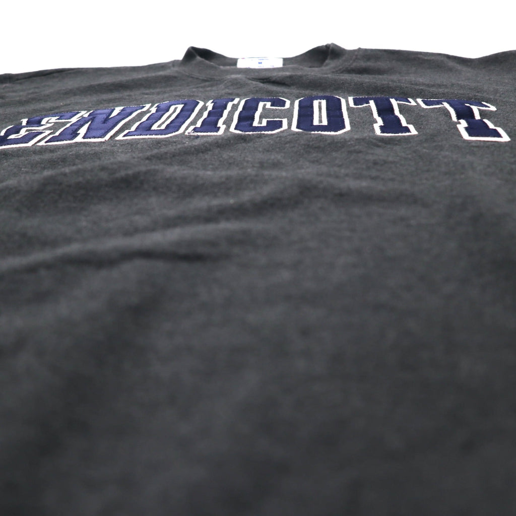 Champion ECO College Embroidery Sweatshirt L Grey Cotton ENDICOTT Arch Logo