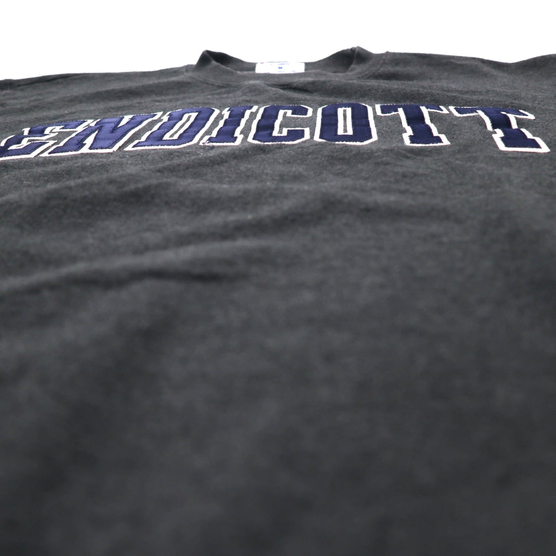 Champion ECO College Embroidery Sweatshirt L Grey Cotton ENDICOTT Arch Logo