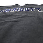 Champion ECO College Embroidery Sweatshirt L Grey Cotton ENDICOTT Arch Logo