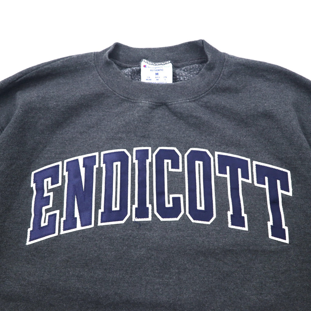 Champion ECO College Embroidery Sweatshirt L Grey Cotton ENDICOTT Arch Logo