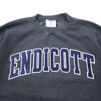 Champion ECO College Embroidery Sweatshirt L Grey Cotton ENDICOTT Arch Logo