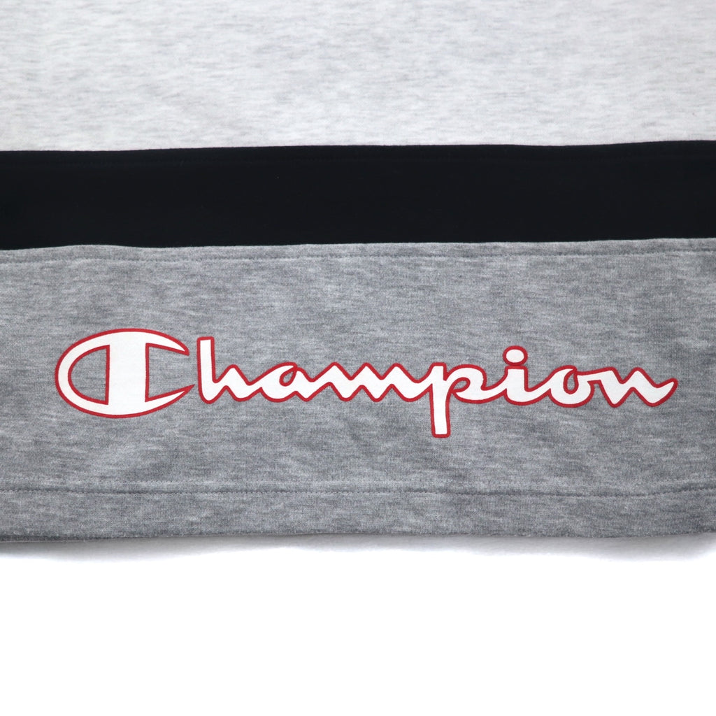 Champion 90s V-neck raglan sweatshirt, 4XL, grey, script logo, big size