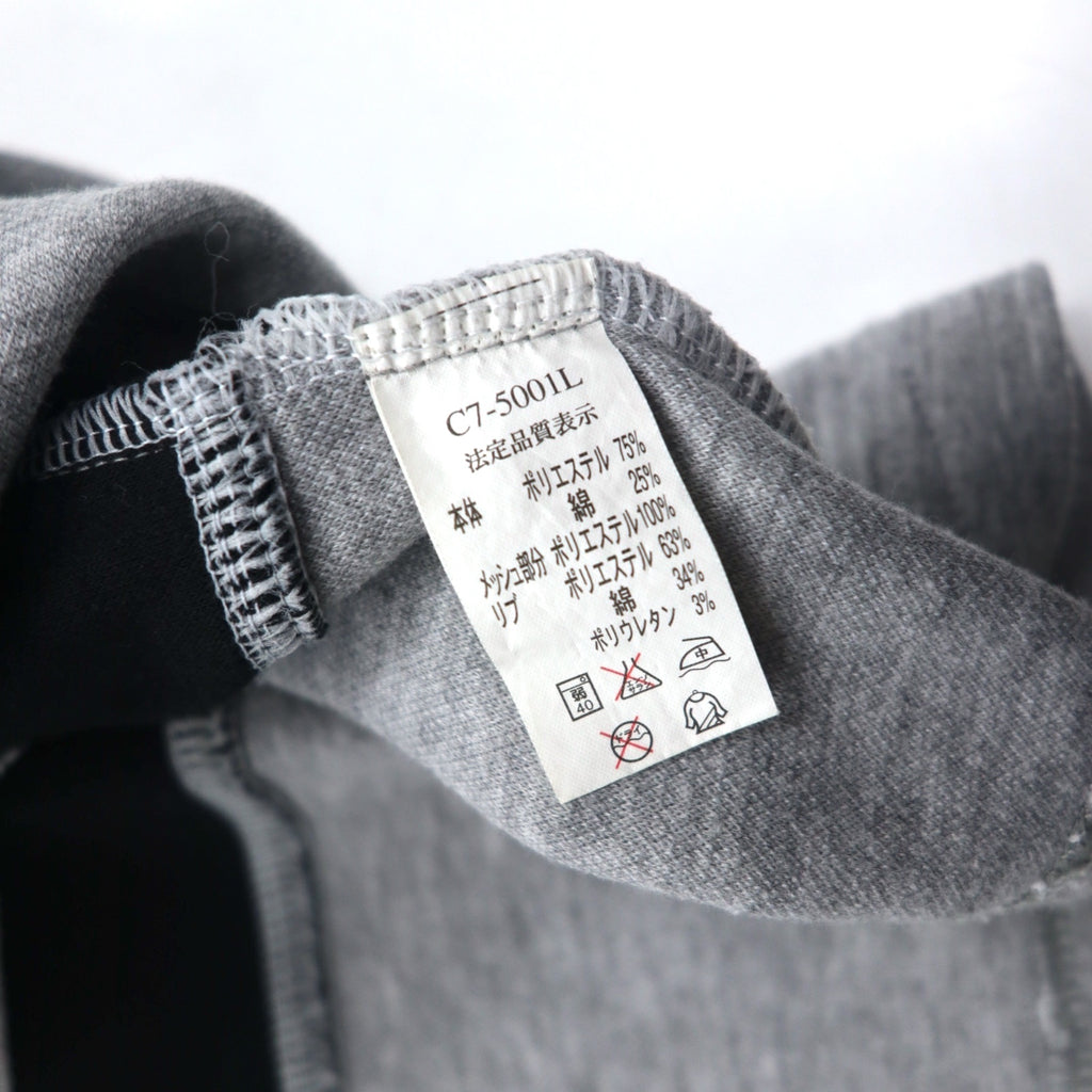 Champion 90s V-neck raglan sweatshirt, 4XL, grey, script logo, big size