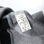 Champion 90s V-neck raglan sweatshirt, 4XL, grey, script logo, big size
