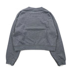 NIKE クロップド スウェット S グレー フレンチテリー センタースウォッシュ CU6404-063