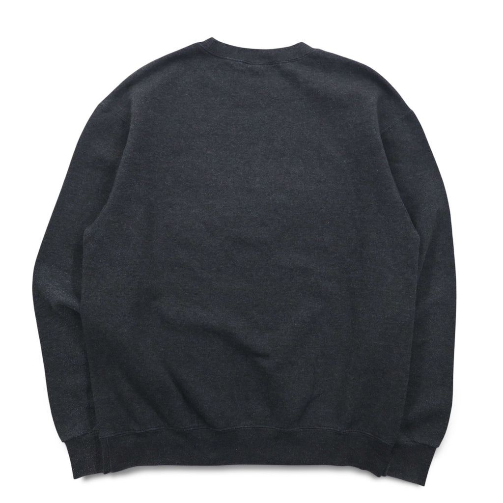 Champion ECO FLEECE カレッジプリント スウェット M グレー 裏起毛 NCAA WASHINGTON STATE COUGARS ホンジュラス製