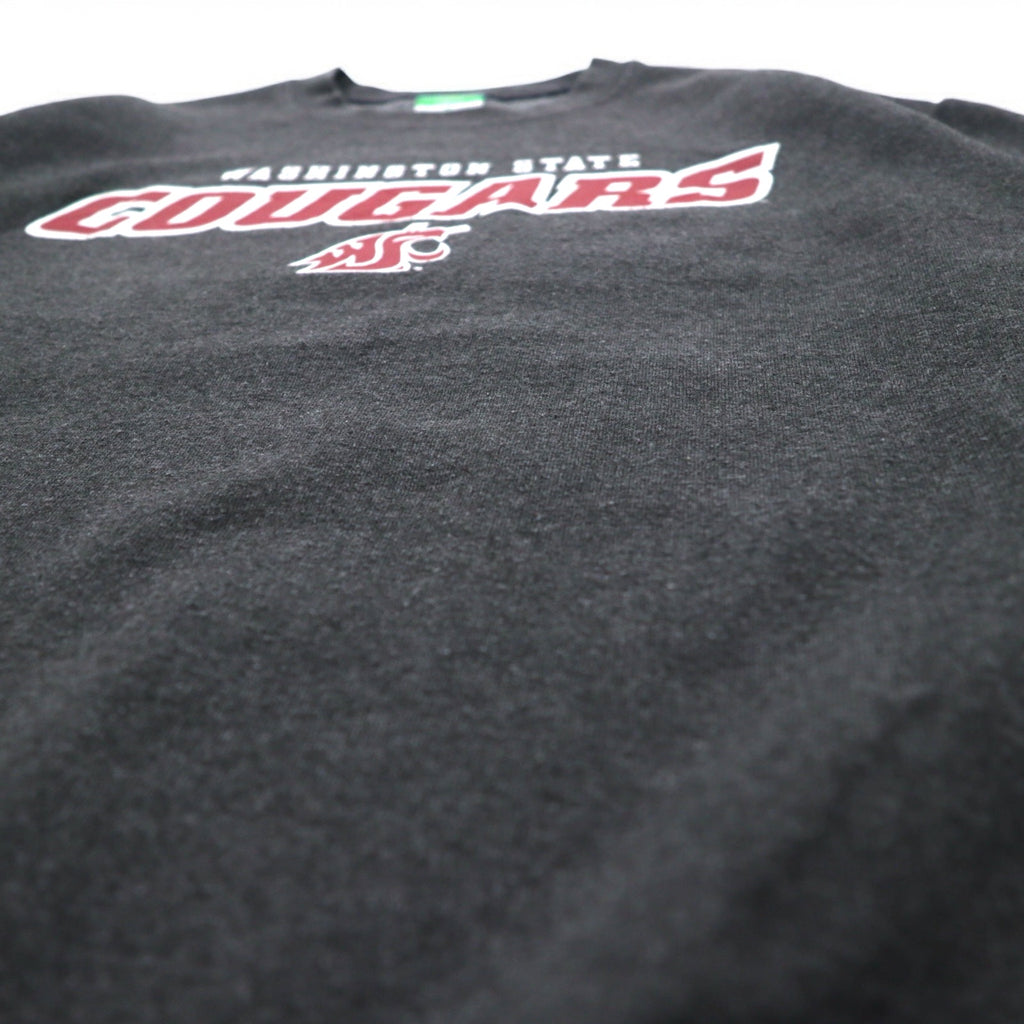 Champion ECO FLEECE カレッジプリント スウェット M グレー 裏起毛 NCAA WASHINGTON STATE COUGARS ホンジュラス製