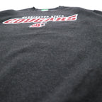 Champion ECO FLEECE カレッジプリント スウェット M グレー 裏起毛 NCAA WASHINGTON STATE COUGARS ホンジュラス製
