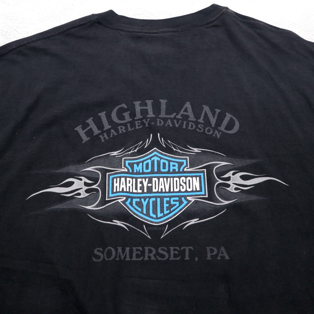 HARLEY DAVIDSON 00s Made in USA Blue Fire Pattern Double-Sided Print T-Shirt 2XL Black SOMERSET Big Size