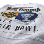 USA製 90年代 NUTMEG MILLS カレッジプリント スウェット M グレー 裏起毛 WEST VIRGINIA