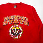 PM SPORTS 90s USA Vintage Sweatshirt スウェット トレーナー XL レッド 90年代 USA製 YOUNGSTOWN STATE UBIVERSITY