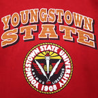 PM SPORTS 90s USA Vintage Sweatshirt スウェット トレーナー XL レッド 90年代 USA製 YOUNGSTOWN STATE UBIVERSITY