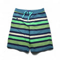 Patagonia Wavefarer Board Shorts, Size S, Navy and Green Striped Nylon, 67817