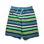 Patagonia Wavefarer Board Shorts, Size S, Navy and Green Striped Nylon, 67817