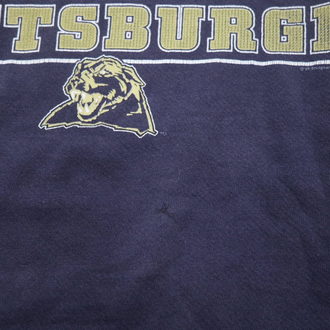 Lee SPORT 90s College Sweatshirt L Navy Print Football PANTHERS PITTSBURGH