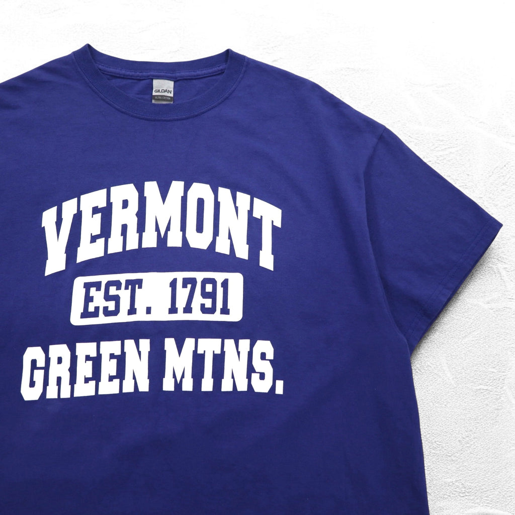GILDAN College Print Ultra Cotton 3-Layer Print T-Shirt XL Blue Arch Logo Vermont Green MTNS