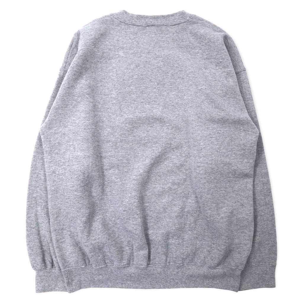GILDAN 00's College Print Sweatshirt L Gray Cotton Brushed Back FANNING UNIVERSITY Big Size Made in Mexico