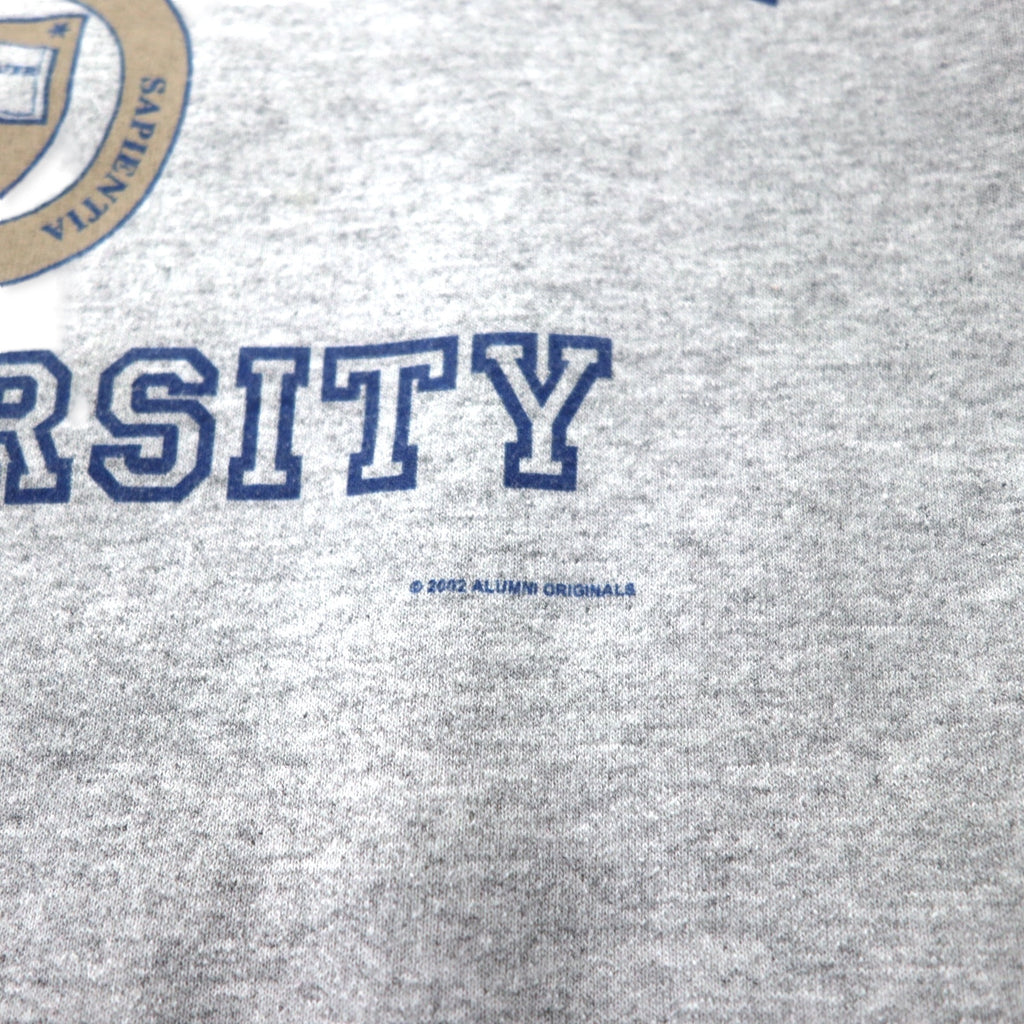 GILDAN 00's College Print Sweatshirt L Gray Cotton Brushed Back FANNING UNIVERSITY Big Size Made in Mexico