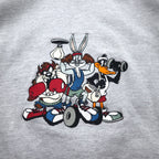 WARNER BROS. 90s Looney Tunes Character Embroidery Half Zip Hoodie XL Gray ACME CLOTHING CO.