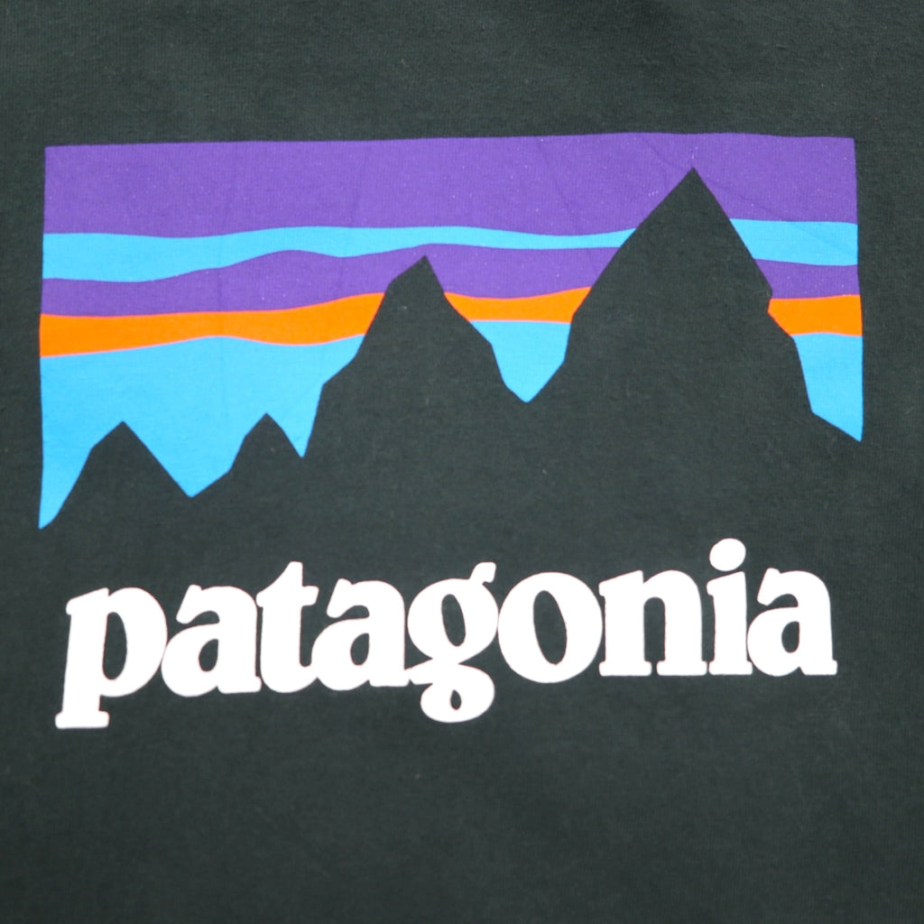 Patagonia Shop Sticker Cotton Long Sleeve T-Shirt, Size L/S, Size 2XL, Green, Organic Cotton, Product Number 39040, Made in Mexico