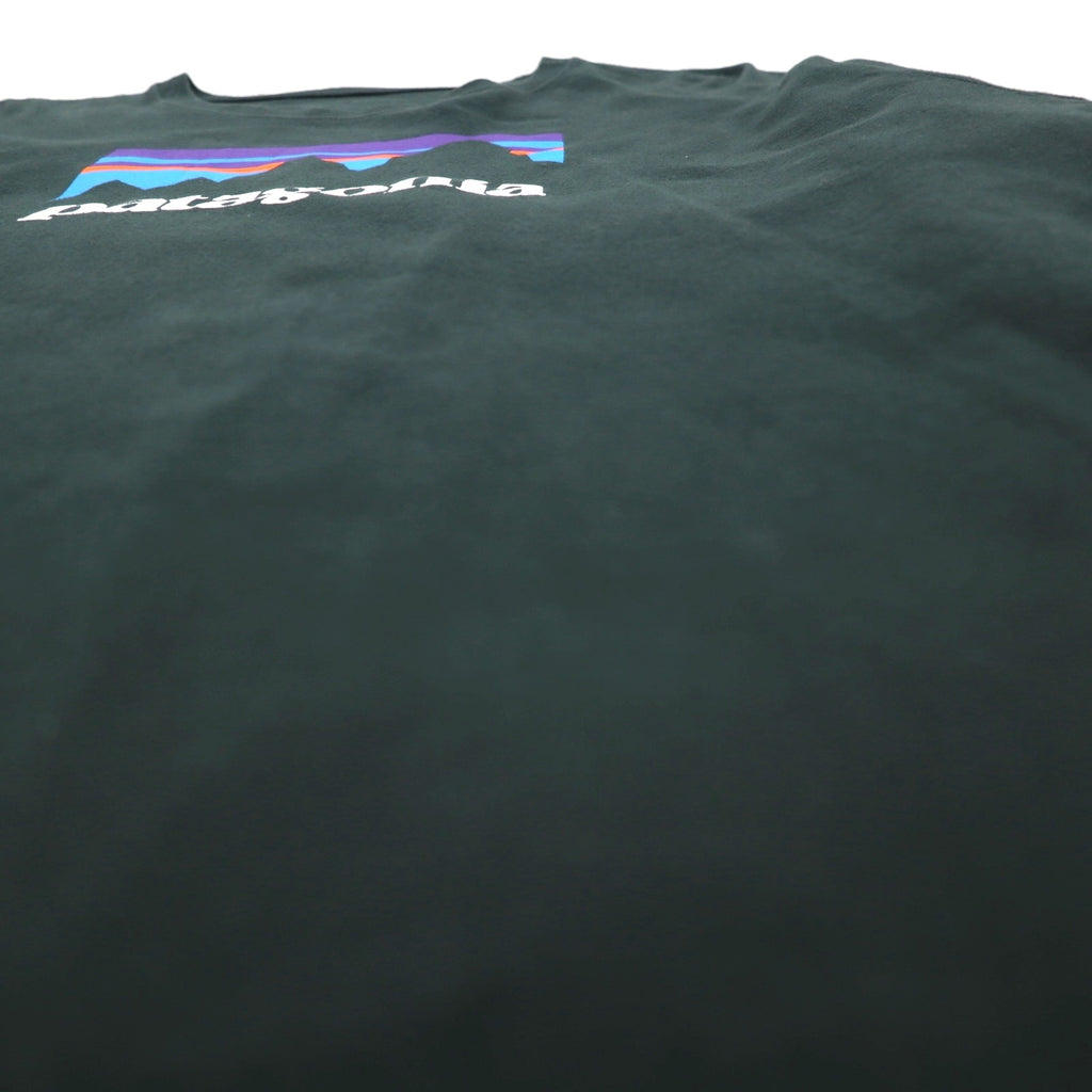 Patagonia Shop Sticker Cotton Long Sleeve T-Shirt, Size L/S, Size 2XL, Green, Organic Cotton, Product Number 39040, Made in Mexico