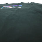 Patagonia Shop Sticker Cotton Long Sleeve T-Shirt, Size L/S, Size 2XL, Green, Organic Cotton, Product Number 39040, Made in Mexico