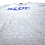 NIKE 90年代 センタースウォッシュ プリント Tシャツ XXL グレー コットン TEAMタグ NCAA カレッジ Kentucky Wildcats ビッグサイズ